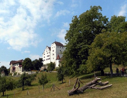 Schloss Wildegg in
                    der Schweiz