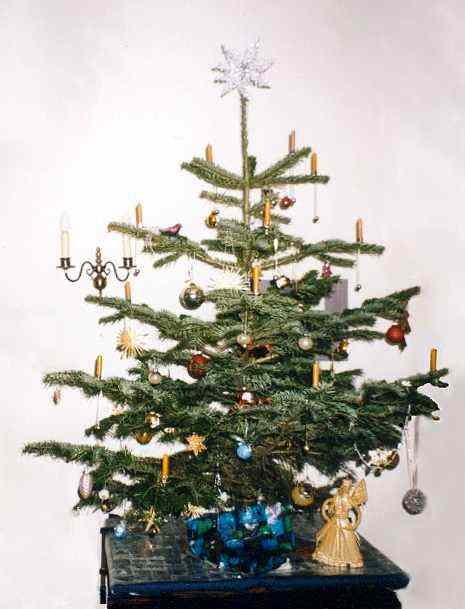 Weihnachtsbaumfoto